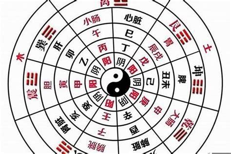 八字全陽男|八字全阳的人为何特殊？这样的人命运好不好？